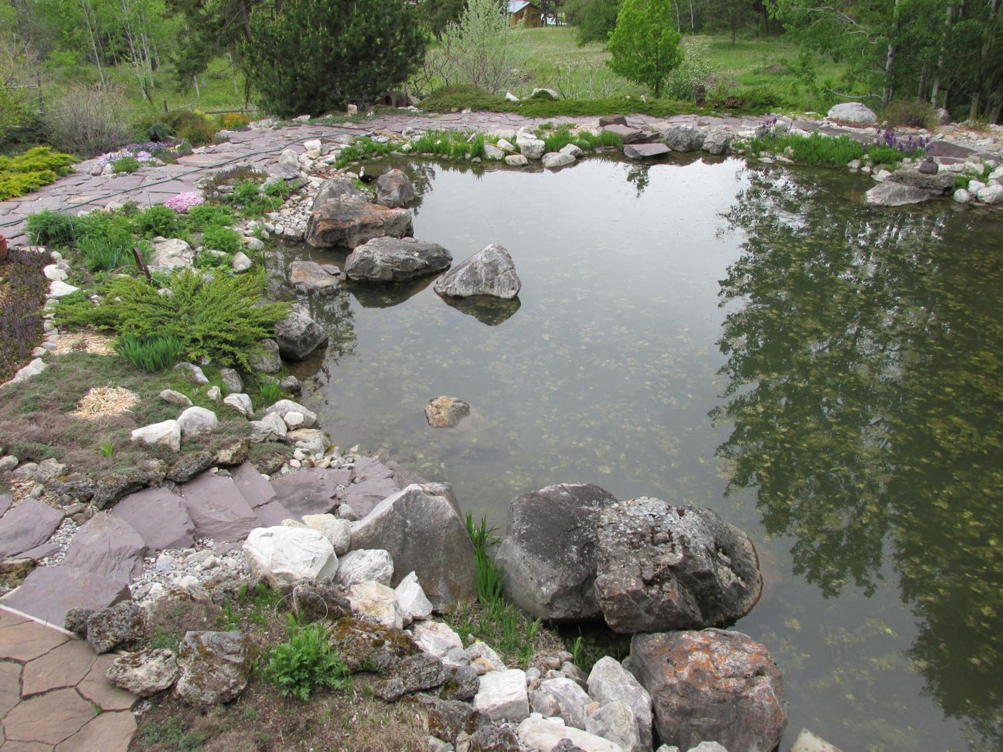 Beard'S Creek Bed And Breakfast Parson Екстериор снимка